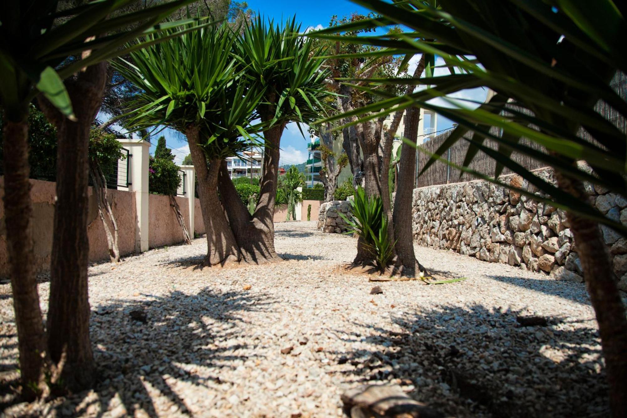 Naika Studios & Apartments Palma Nova  Ngoại thất bức ảnh